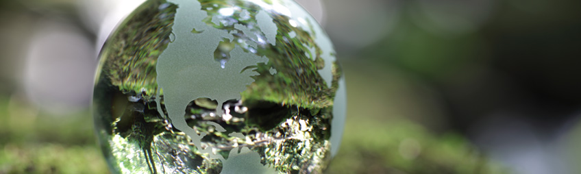 Kristallipallo, jonka pintaan on kaiverrettu maapallon mantereet, sammaleella.